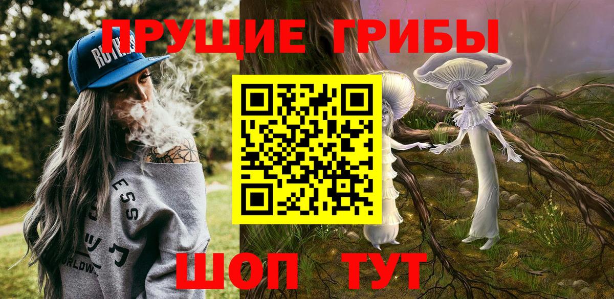 купить наркоту  Вход с VPN  Нурлат  Псилоцибиновые грибы GOLDEN TEACHER  Галлюциногенные грибы GOLDEN TEACHER 